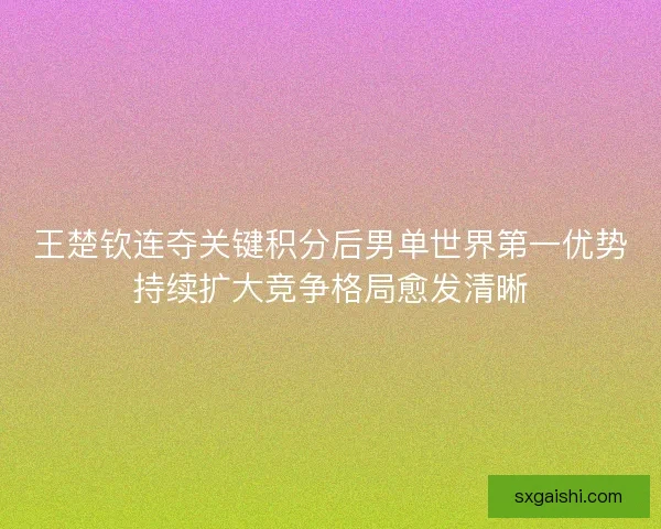 王楚钦连夺关键积分后男单世界第一优势持续扩大竞争格局愈发清晰