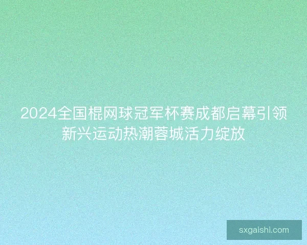 2024全国棍网球冠军杯赛成都启幕引领新兴运动热潮蓉城活力绽放