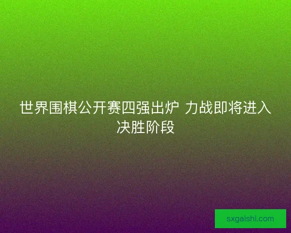 世界围棋公开赛四强出炉 力战即将进入决胜阶段