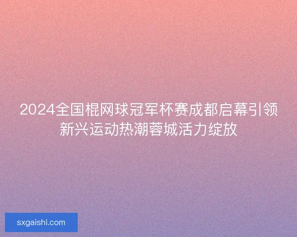 2024全国棍网球冠军杯赛成都启幕引领新兴运动热潮蓉城活力绽放